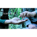 Surface 3 by Arnel Renegado - Video DOWNLOAD