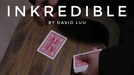 INKredible by David Luu video DOWNLOAD